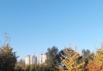 仰山公园第 7 张图片