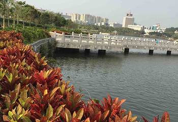 鸳鸯湖公园第 15 张图片