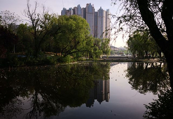 咸阳湖景区渭滨公园第 19 张图片