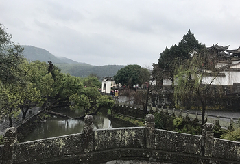 大榕树第 4 张图片