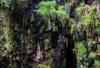 万景山庄第 16 张图片