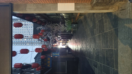 老码头帆船基地第 25 张图片
