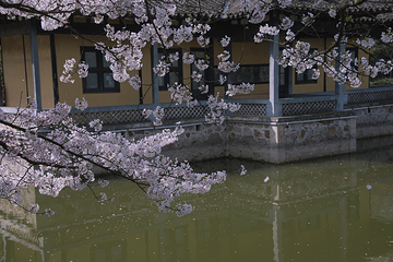 广福寺第 17 张图片