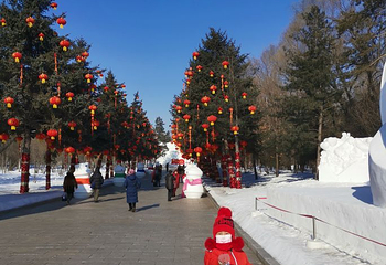 太阳岛雪博会第 126 张图片