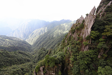 羊狮慕风景区第 72 张图片