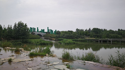 西安浐灞国家湿地公园第 89 张图片