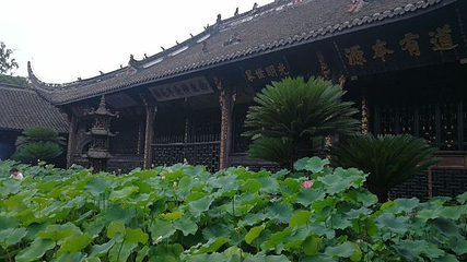 宝光禅院第 27 张图片