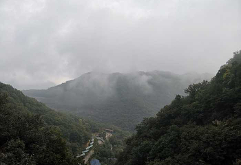 九山顶自然风景区第 39 张图片