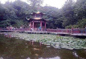 锦江山公园第 31 张图片