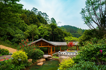 高峰森林公园第 36 张图片