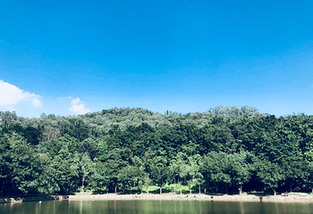 莲花山公园第 35 张图片