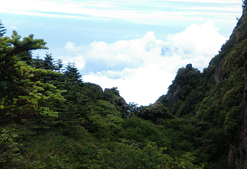 北山公园第 50 张图片