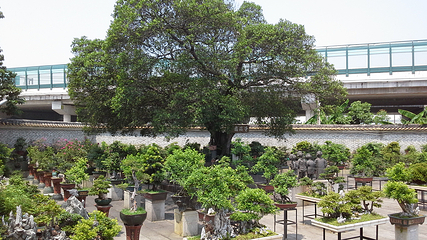 广州市花都区博物馆第 21 张图片