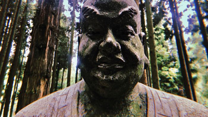 武陵山国家森林公园第 66 张图片