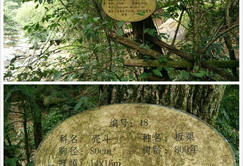 小溪自然保护区第 10 张图片