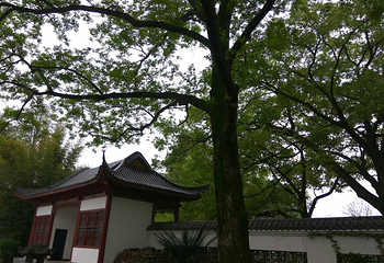 华中科技大学第 24 张图片