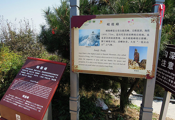 峻极峰第 14 张图片