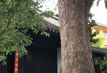 光福景区第 27 张图片
