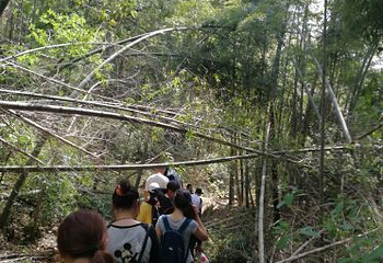 上青古道第 13 张图片