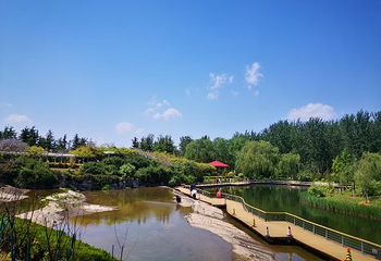 济南植物园第 21 张图片