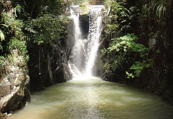 幽峪逸林旅游区第 25 张图片
