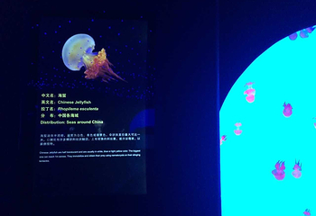 上海海洋水族馆第 219 张图片