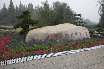 习家池第 26 张图片