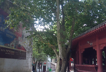 白云峰峡谷漂流第 28 张图片
