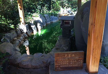 汤池热水河温泉第 20 张图片