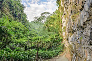 桫椤峡谷景区第 8 张图片