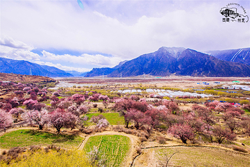 桃花沟风景区第 19 张图片