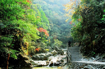 尖峰岭国家森林公园第 24 张图片