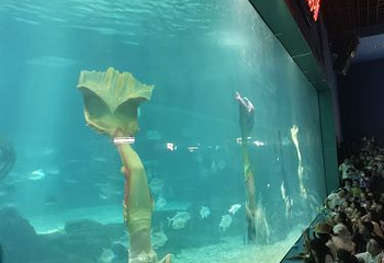 福州罗源湾海洋世界旅游区第 77 张图片