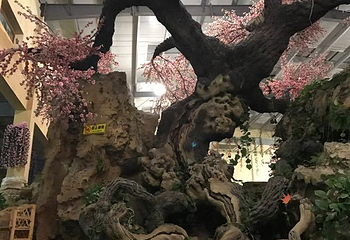 水师森林温泉度假区第 37 张图片