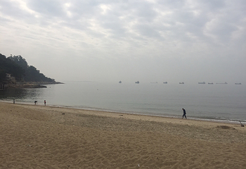 沙鱼涌第 3 张图片