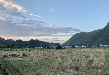 马岭河峡谷景区第 124 张图片