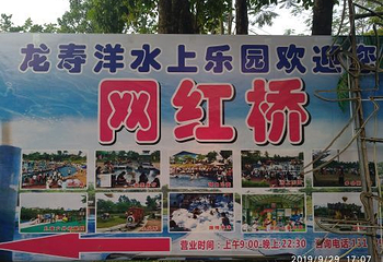 龙寿洋万亩田野公园第 28 张图片