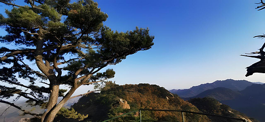 千山第 83 张图片