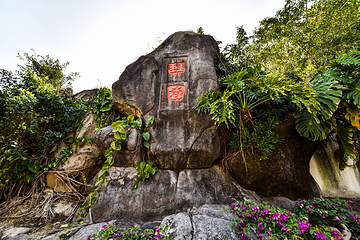 琴园第 6 张图片