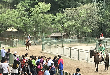 浦口珍珠泉野生动物生态园第 27 张图片