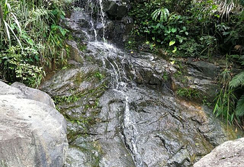 长泰鼓鸣岩风景区第 32 张图片