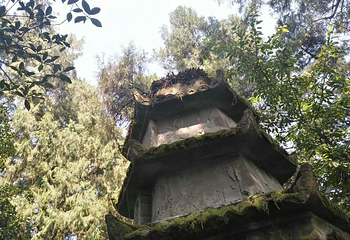 真佛山景区第 9 张图片
