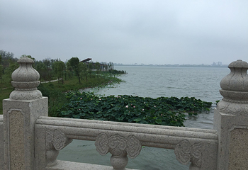 淮北南湖风景区第 20 张图片