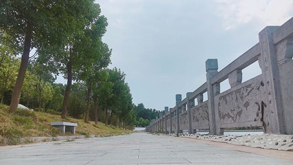 鄢陵鹤鸣湖国家湿地公园第 14 张图片