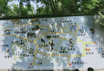杭州动物园第 51 张图片