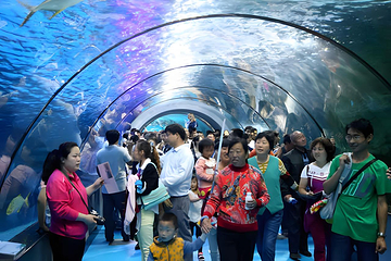 泉城欧乐堡海洋极地世界第 14 张图片
