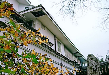 怡园第 63 张图片