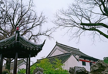 怡园第 57 张图片