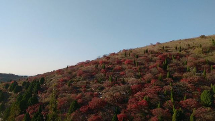 石门坊第 61 张图片