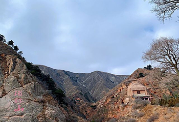 须弥山石窟第 58 张图片